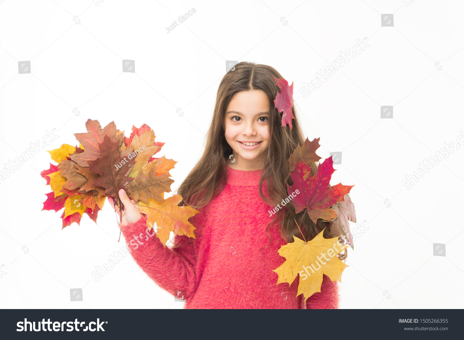 Fall season. Kid with fallen leaves white background. Happy small girl maple leaves. Autumn pleasures. Cozy days. Childhood happiness. Collecting autumn leaves. Nature changing color. Seasons concept. #1505266355