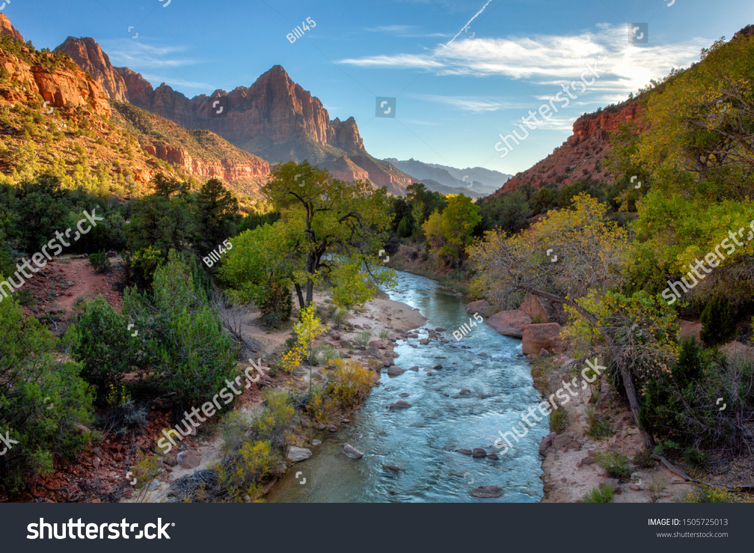 View of the Watchman mountain and the virgin river in Zion National Park located in the Southwestern United States, near Springdale, Utah, Arizona #1505725013