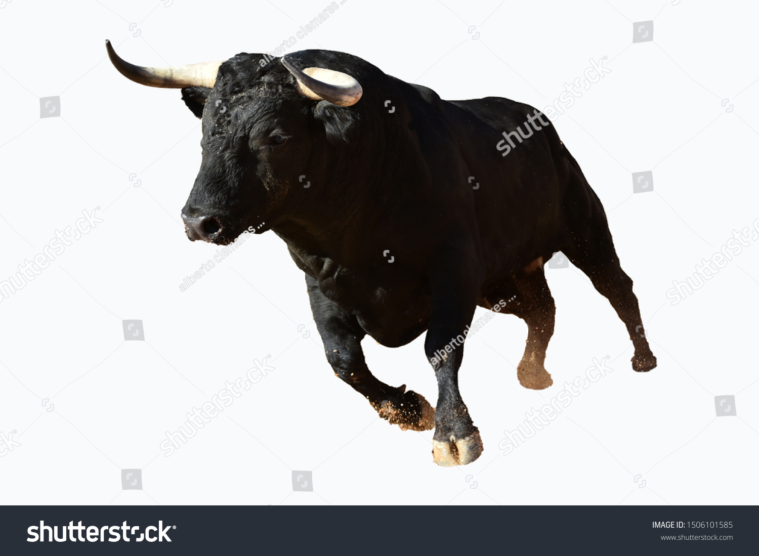 Black bull with big horns #1506101585