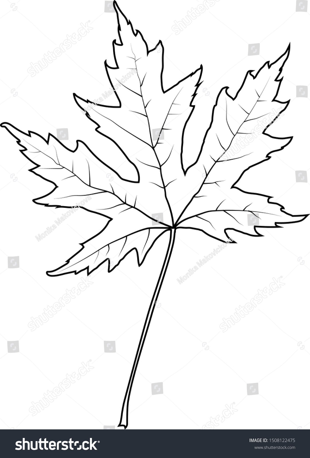 Black and white vector outline maple leaf - Royalty Free Stock Vector ...