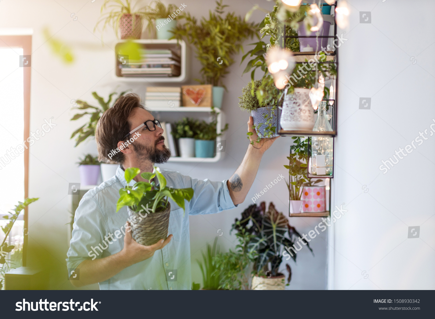Man taking care of her potted plants at home
 #1508930342
