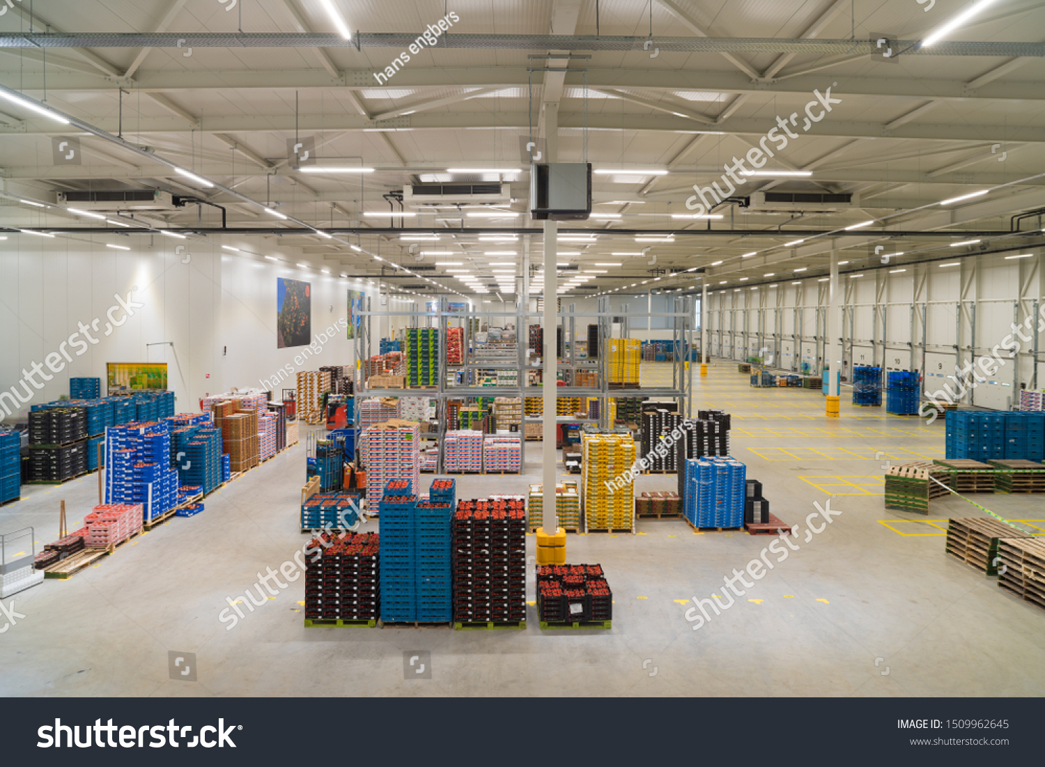 IJSSELMUIDEN, NETHERLANDS - APRIL 6, 2019: Interior of a warehouse of a fruit and vegetables wholesale business #1509962645