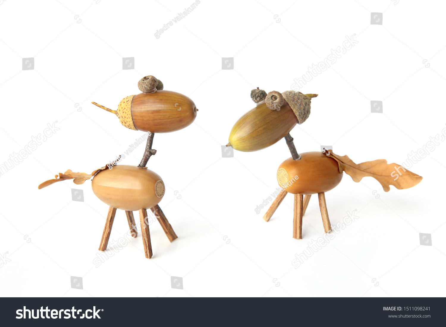 Cute small horses made from acorns isolated on white background. Creative funny animal figures made from acorn in autumn time. 
 #1511098241