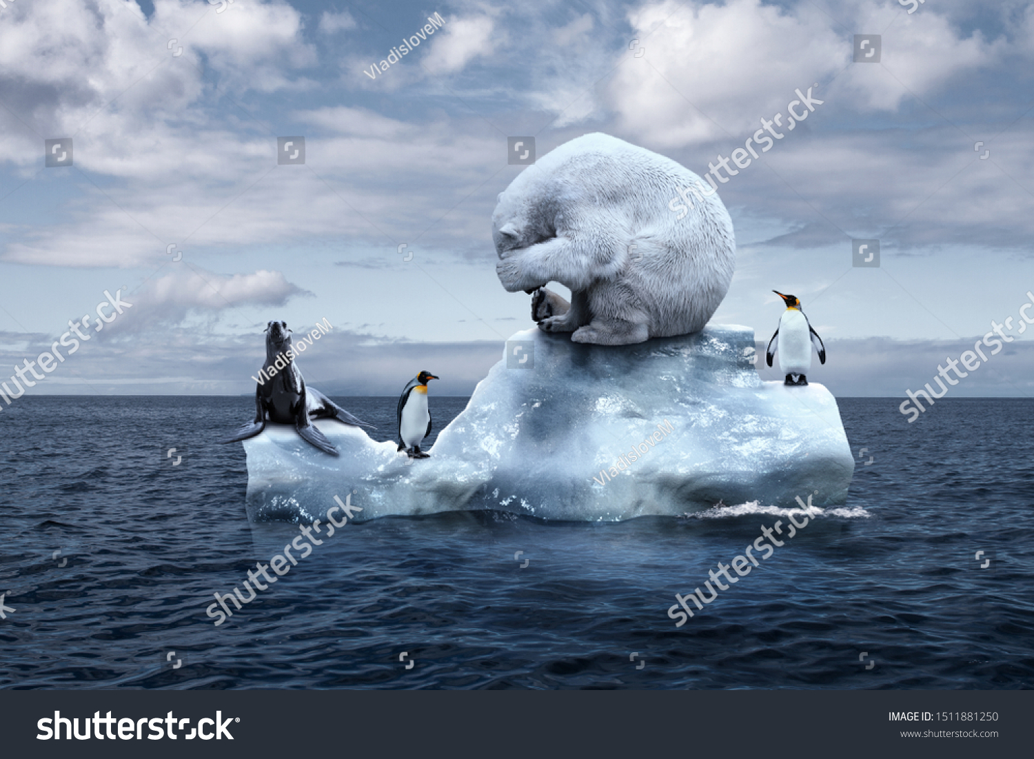 globally warming. climate change. the bear cries closing its face with its paws. polar bear, penguins and fur seal sits on a melting glacier in the middle of the ocean. ecological catastrophe #1511881250