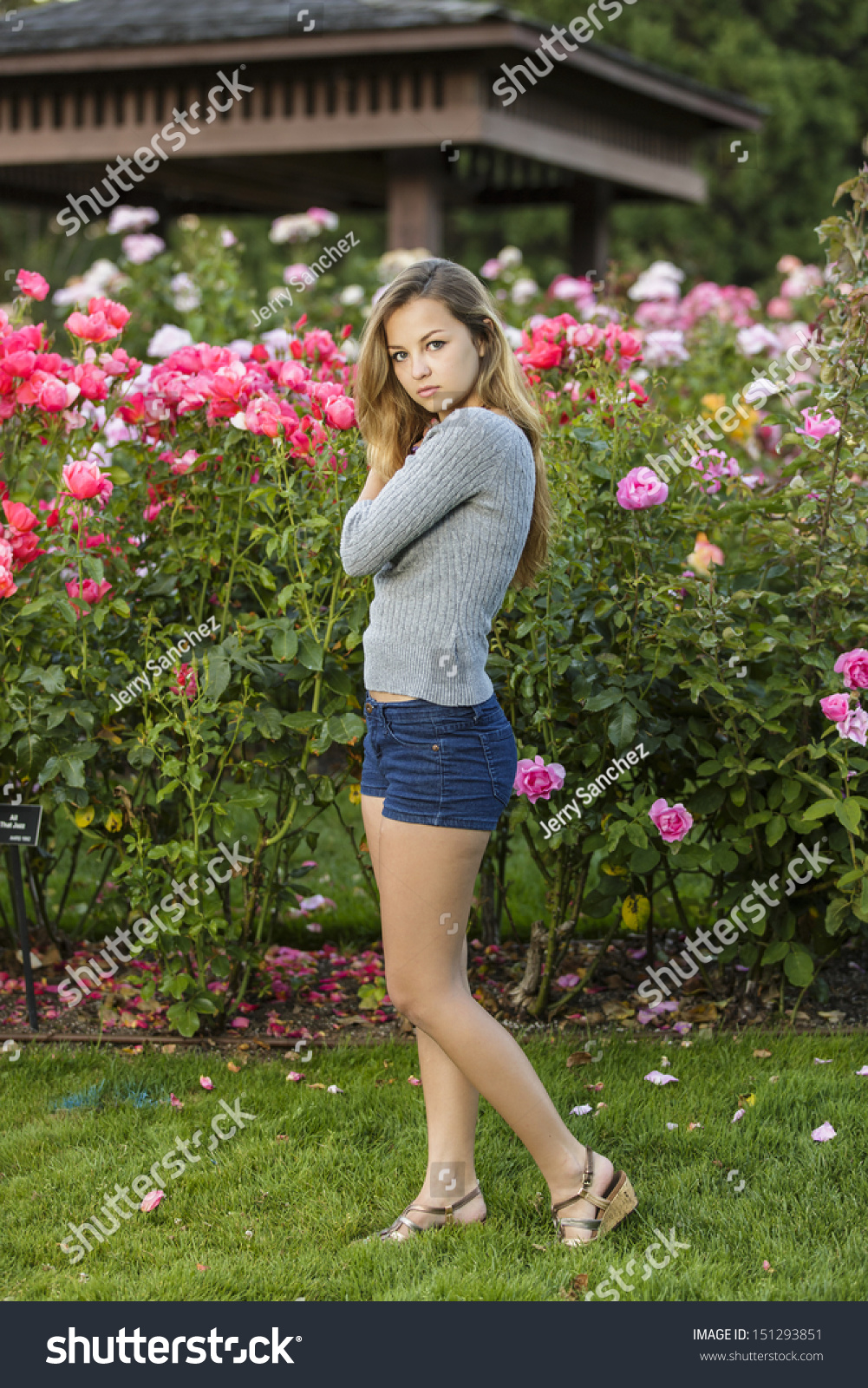 Beautiful Teen Girl Posing With Long Legs Beautiful Teen Girl Posing With Long Legs