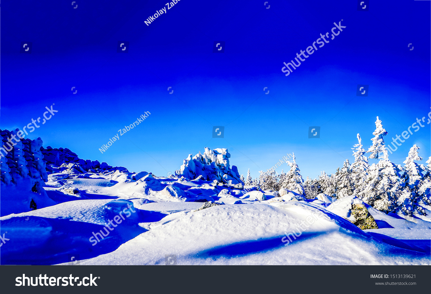 Winter snow fir trees nature landscape #1513139621