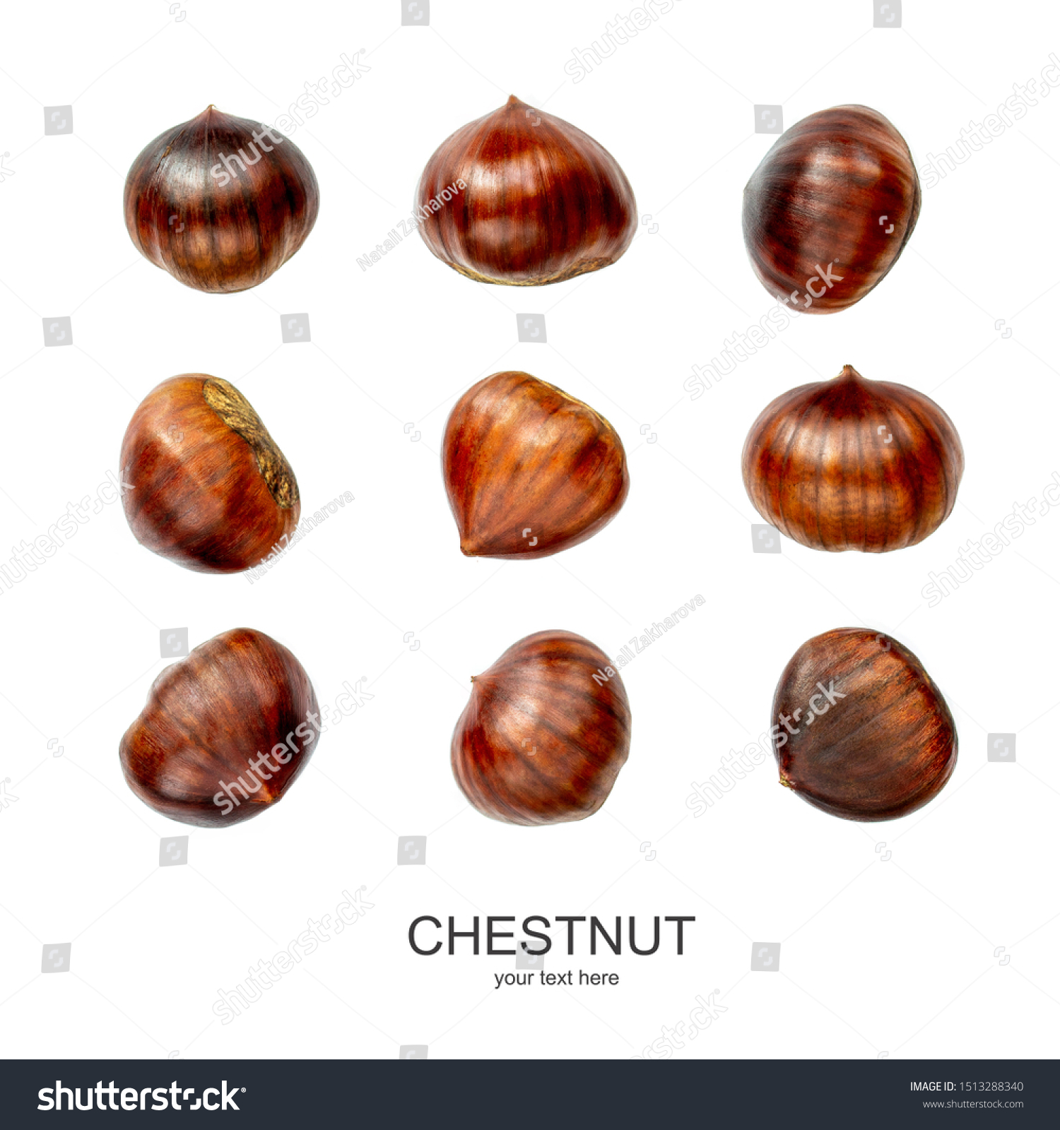 Chestnut Pattern. Creative layout of Chestnuts isolated  on white background. Top view. Flat lay #1513288340