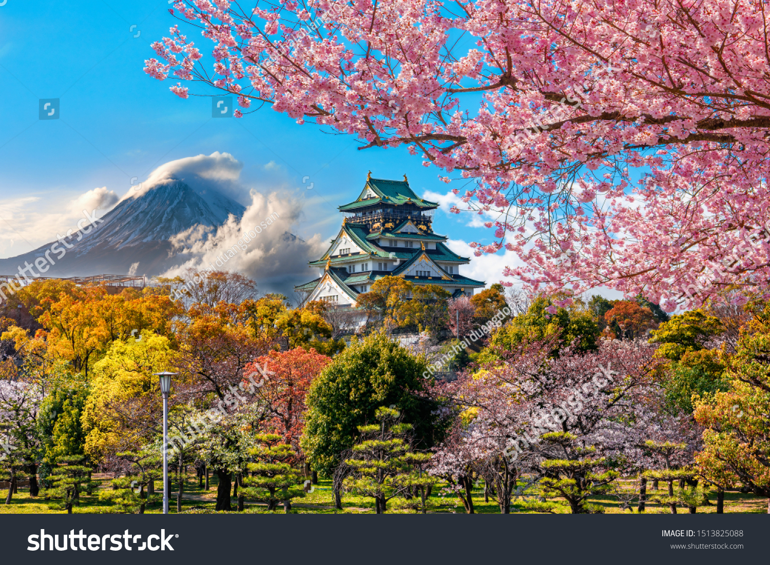  Osaka Castle and full cherry blossom, with Fuji mountain background, Japan #1513825088