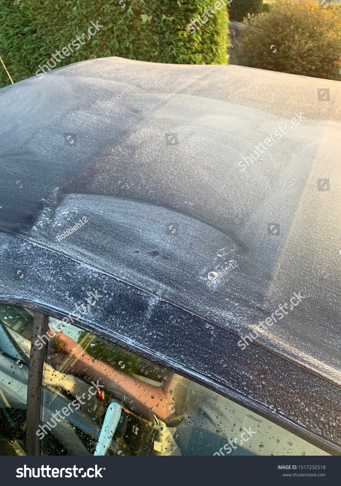 Convertible roof being cleaned with detergent cleaning product #1517232518