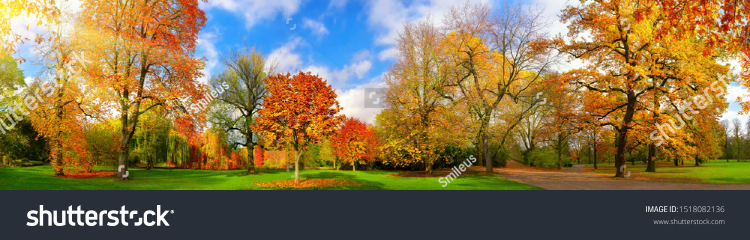 Wide colorful panorama of a gorgeous park in autumn, a tranquil and happy outdoor scene #1518082136
