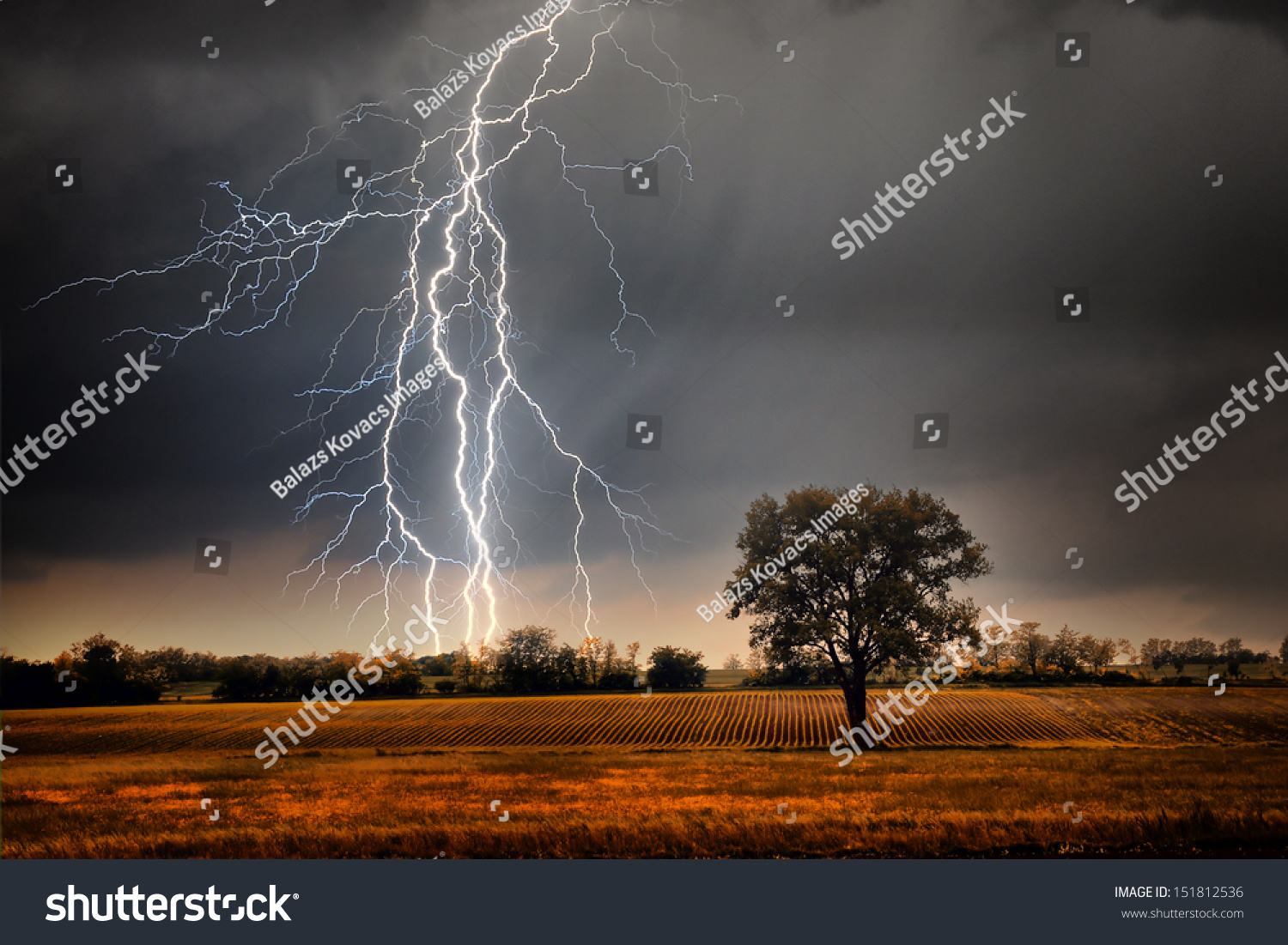 Lightning over field #151812536