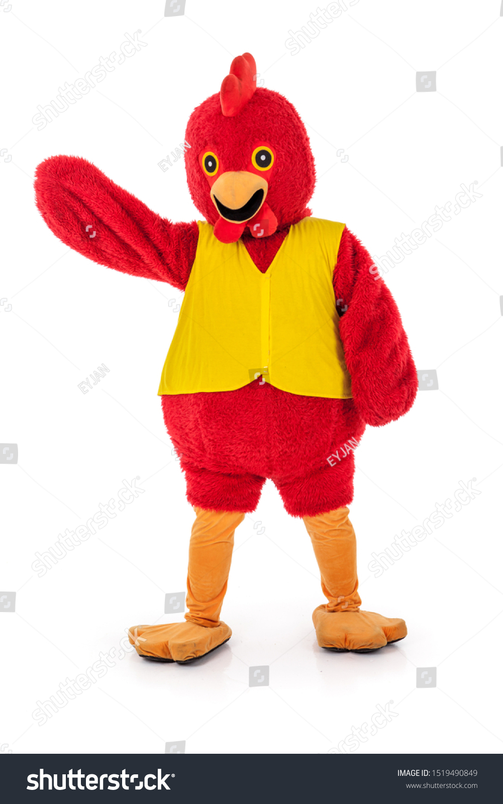 Man in a red chicken costume,full body isolated on white.,various pose,Perfect for mascot. #1519490849