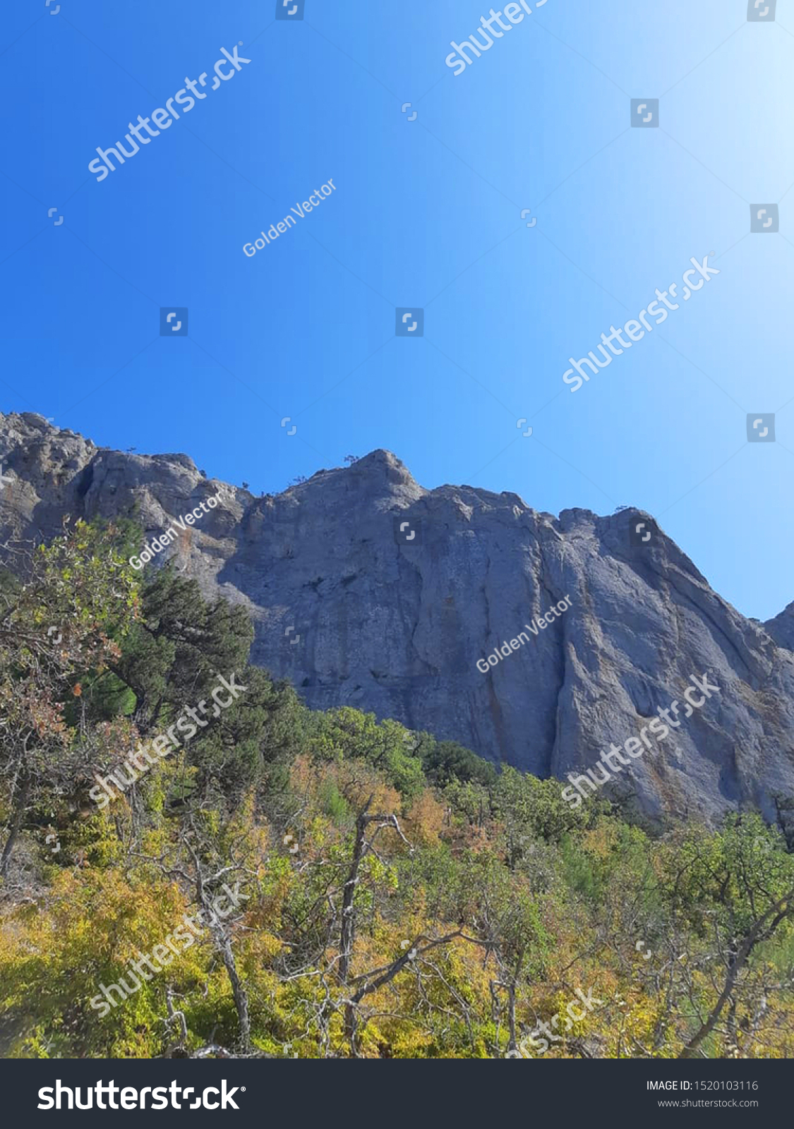 Mountain landscape. Mountain landscape with trees and moss against the blue sky. Photo of a mountain landscape. #1520103116