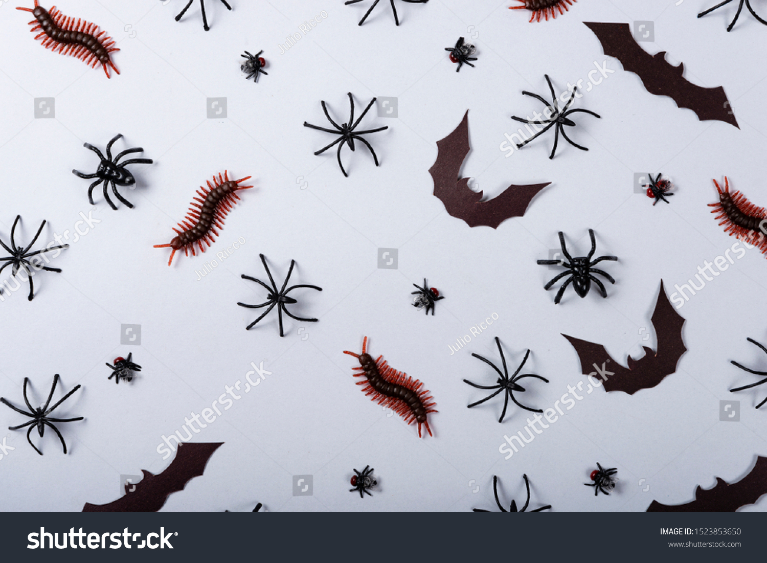 Halloween and decoration concept, miscellaneous bats, spiders, centipede and flies on gray background #1523853650