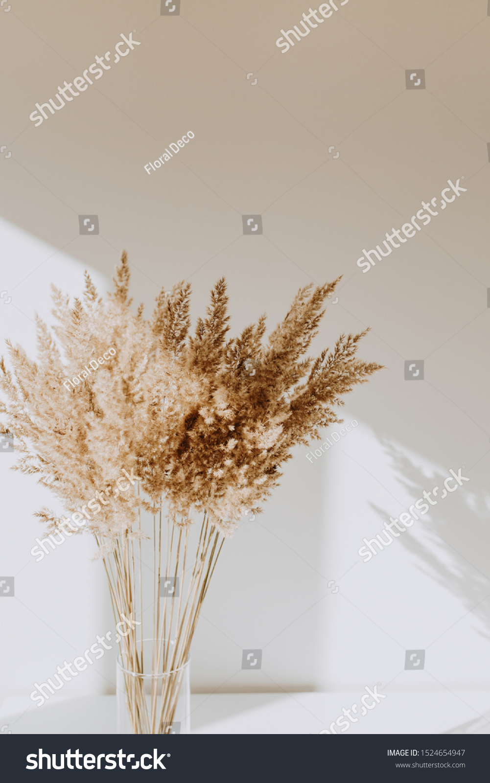 Beige reeds in vase standing on white table with beautiful shadows on the wall. Minimal, styled concept for bloggers. Parisian vibes. #1524654947