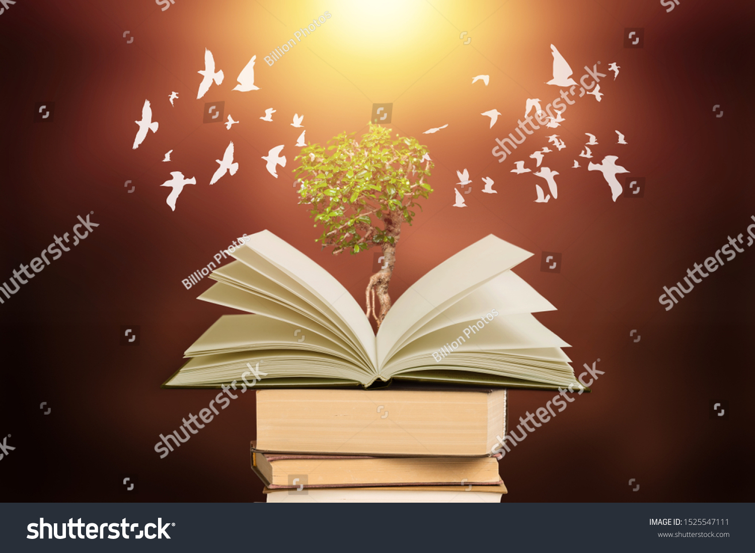 Education concept The growth of knowledge is represented by pictures of trees on the books, with birds flying around on that book. Is to lead the future of success #1525547111