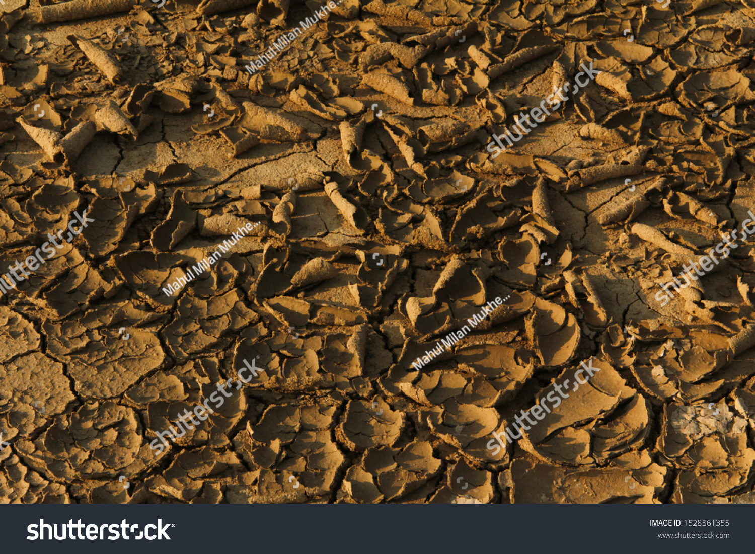 Cracked surface. Cracked dirt stock image. #1528561355