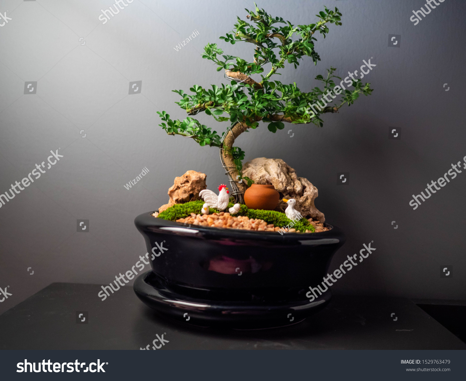 Bonsai at the bedroom with miniature chicken and duck #1529763479