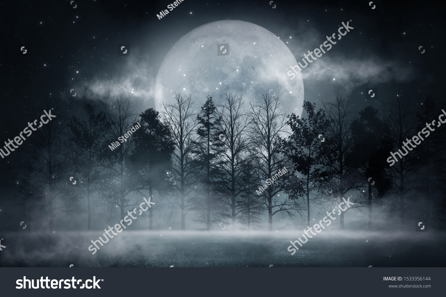 Dark forest. Gloomy dark scene with trees, big moon, moonlight. Smoke, shadow. Abstract dark, cold street background. Night view. #1533356144