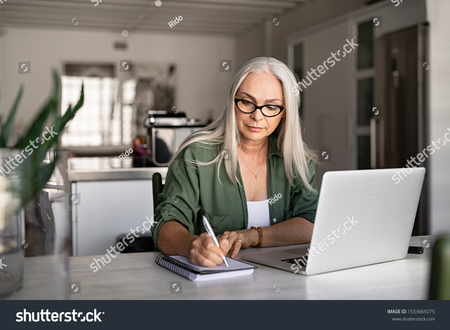 Senior stylish woman taking notes in notebook while using laptop at home. Old freelancer writing details on book while working on laptop in living room. Focused cool lady writing notary in notepad. #1533669275