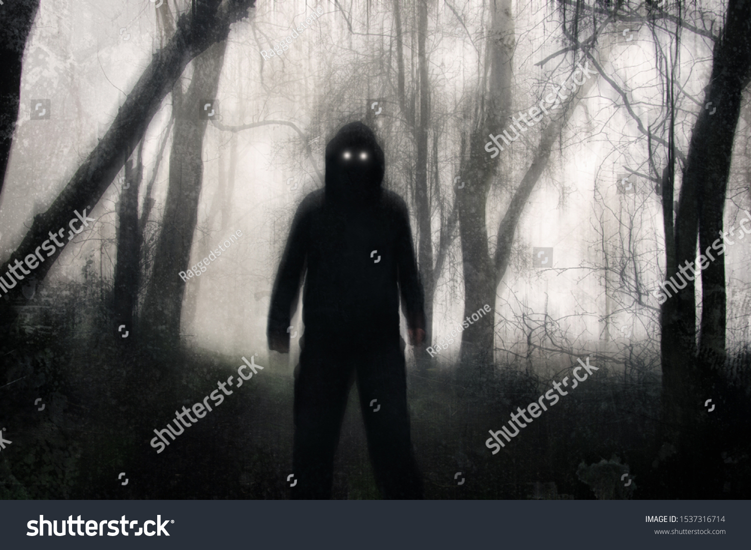 A horror concept. A silhouetted hooded figure, standing in a winter forest, with glowing scary eyes. With a grunge, texture, blurred edit #1537316714
