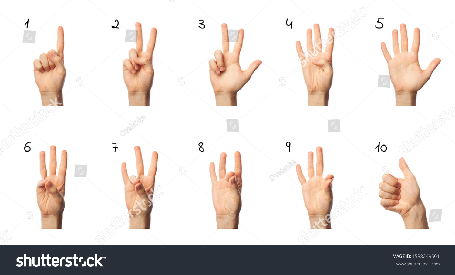 Finger spelling numbers from 1 to 10 in American Sign Language on white background. ASL concept #1538249501