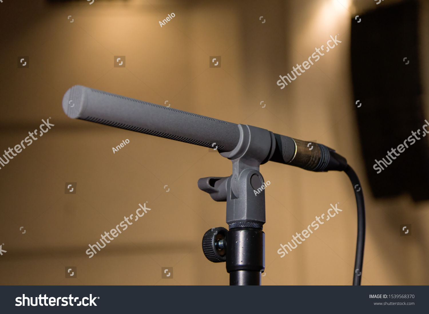 Microphone on the microphone stand in the auditorium, sound events in the audience, the background noise of the audience. #1539568370
