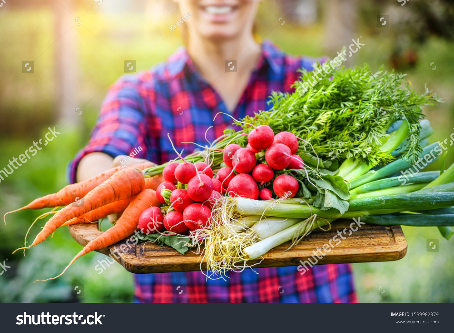 Fresh vegetables in woman hands on old wooden cut board. Healthy farmer food concept. #1539982379