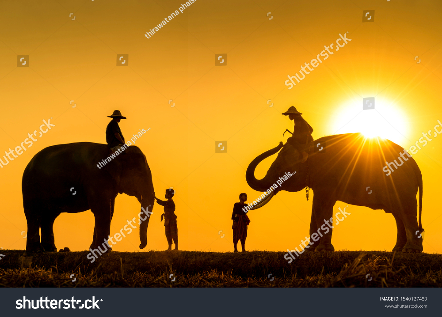 New generation mahout. Two boy and Two mahout and two elephant with sunset light as a backdrop. The activities Krapho, Tha Tum District, Surin, Thailand. #1540127480