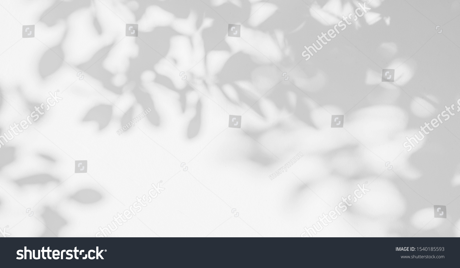Abstract leaves shadow background. Natural leaves tree branch shadows and sunlight dappled on white concrete wall texture in garden for background and wallpaper  #1540185593