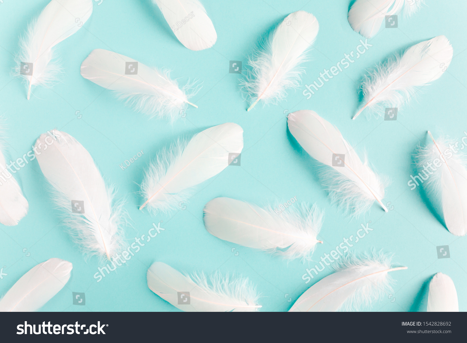 White feather texture on a blue background. Feather background. Flat lay, top view #1542828692
