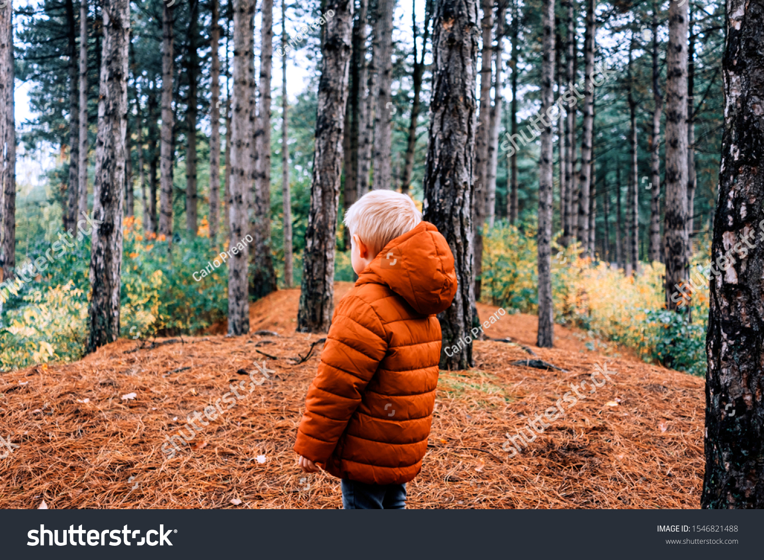 child in the forest looking at the nature in a green, orange and brown pallet colors #1546821488