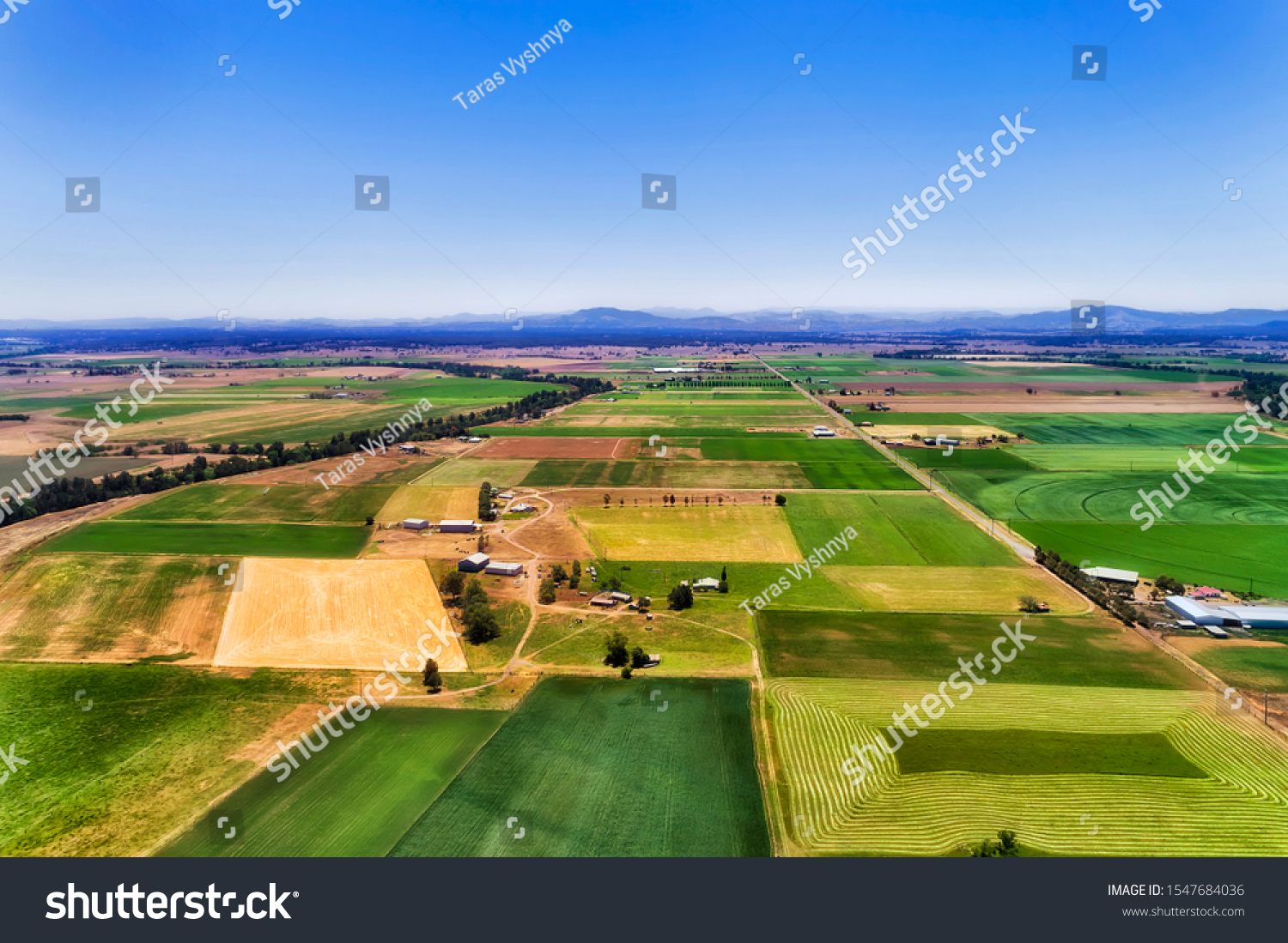 Green farm fields with irrigation and cultivation on shores of Hunter river in Hunter valley region of Australia around farm house under blue sky on a sunny day - aerial view. #1547684036