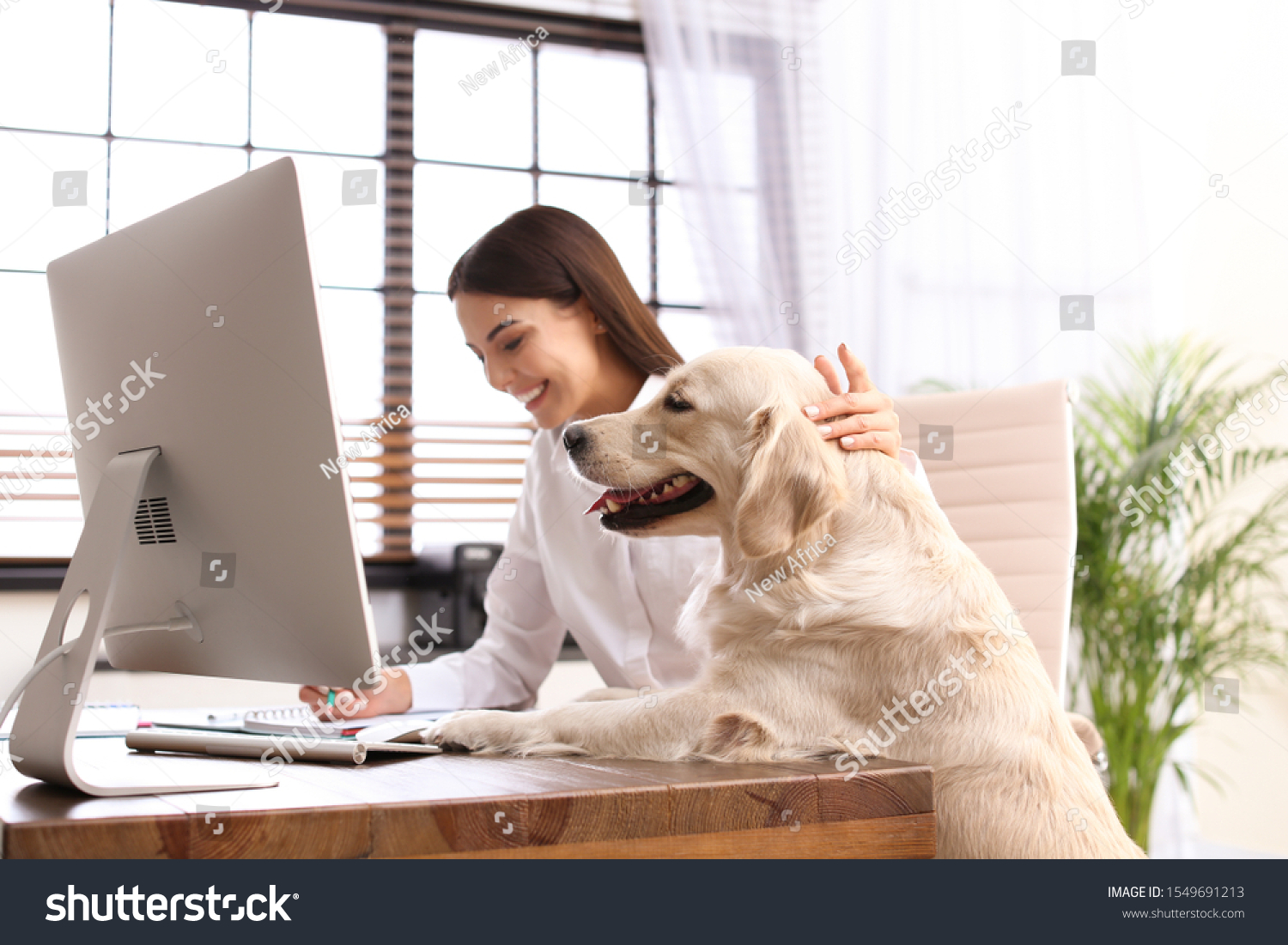 Young woman working at home office and stroking her Golden Retriever dog #1549691213