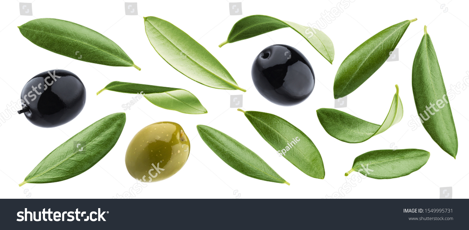 Collection of black and green olives with leaves isolated on white background with clipping path #1549995731