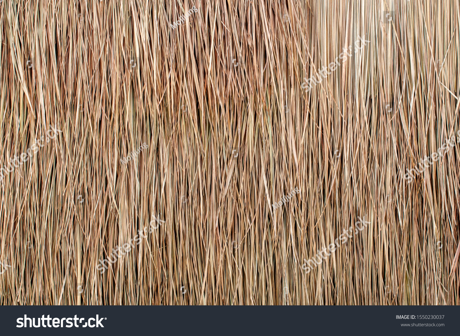 Close up of thatch roof background, hay or dry grass background #1550230037