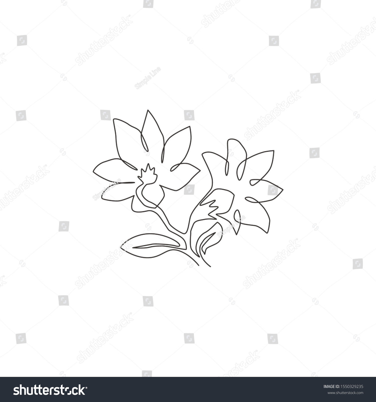 Single One Line Drawing Of Beauty Fresh Royalty Free Stock Vector