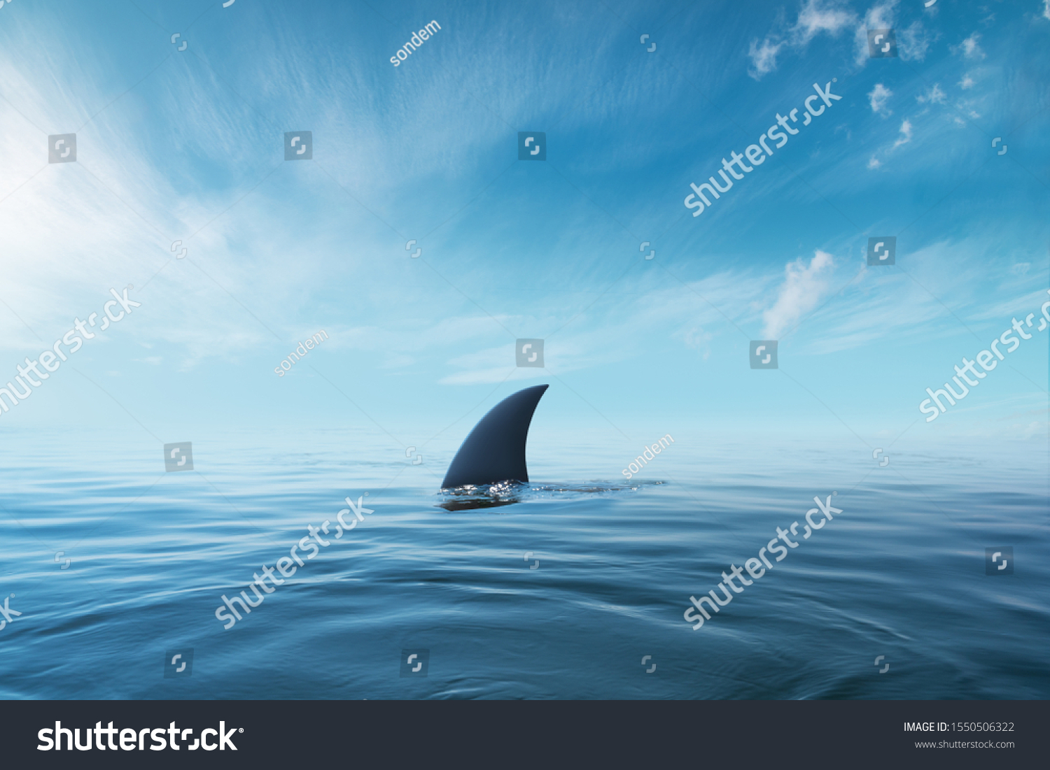 shark fin on surface of ocean agains blue cloudy sky #1550506322