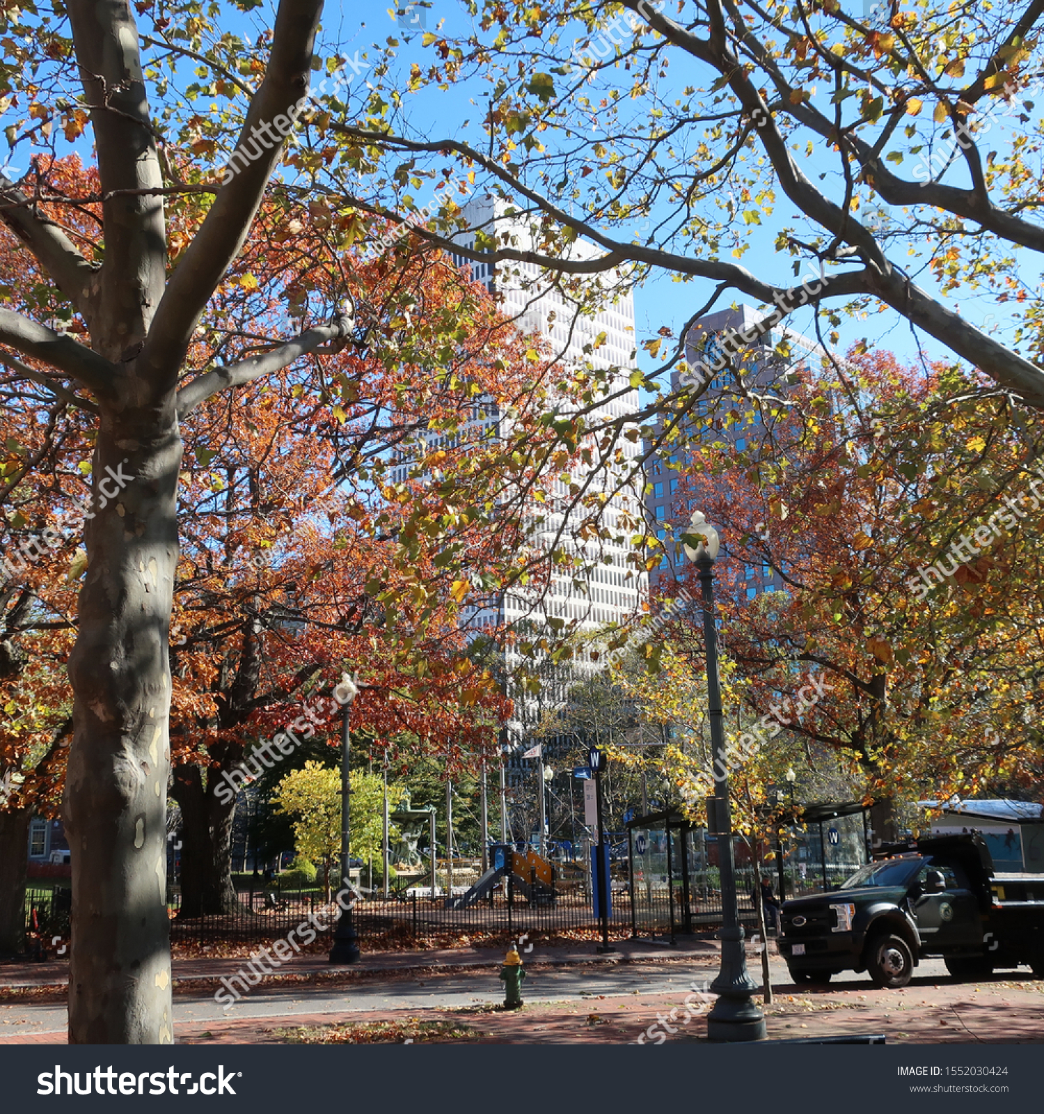 Fall trees and buildings in Providence #1552030424