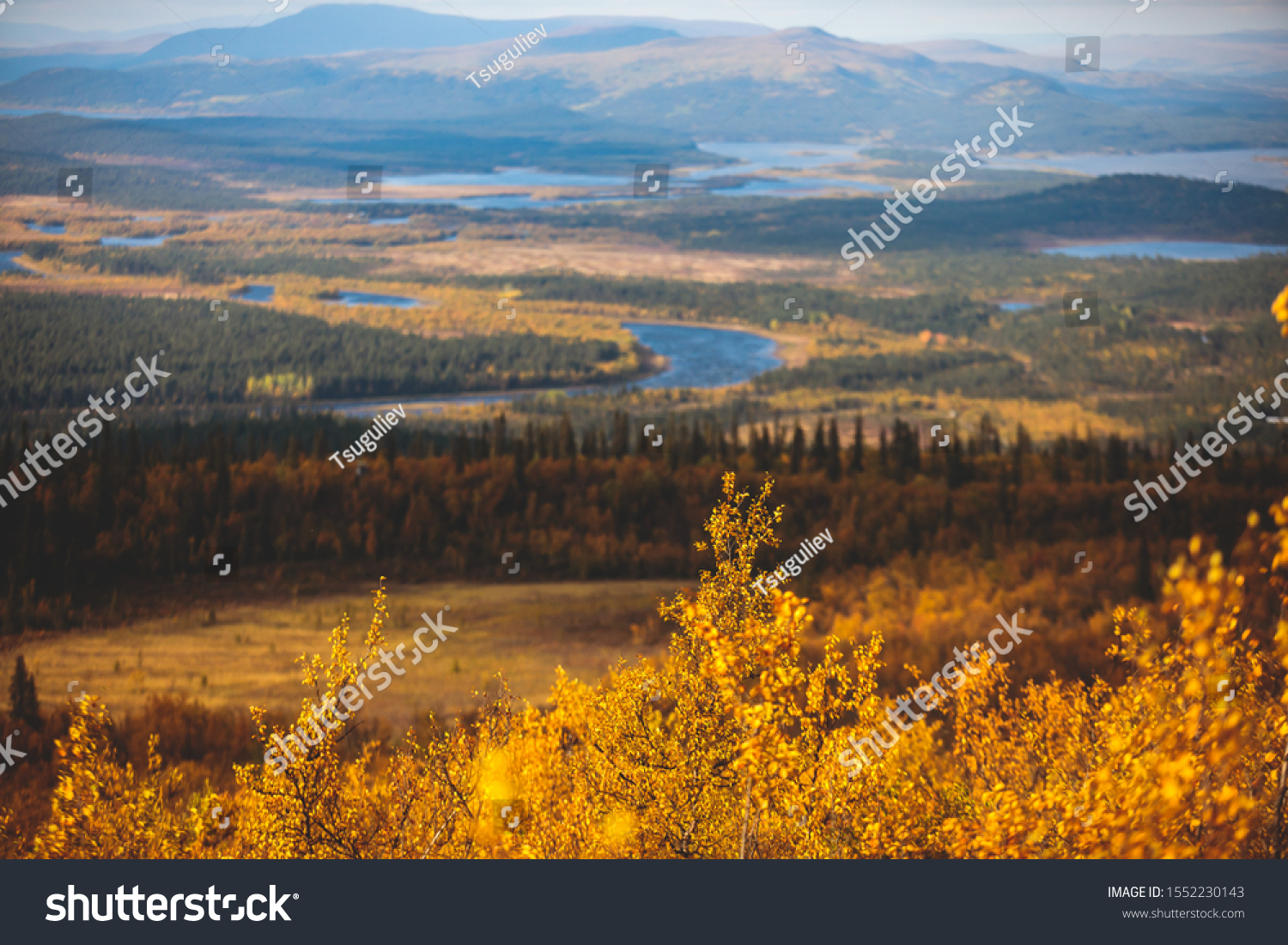 Swedish autumn fall vibrant landscape during hiking to Kurravaara mountain in Norrbotten county, Kiruna Municipality, Northern Sweden #1552230143