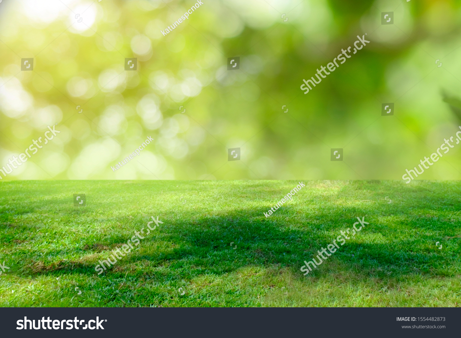 Nature green grass with bokeh background.  #1554482873