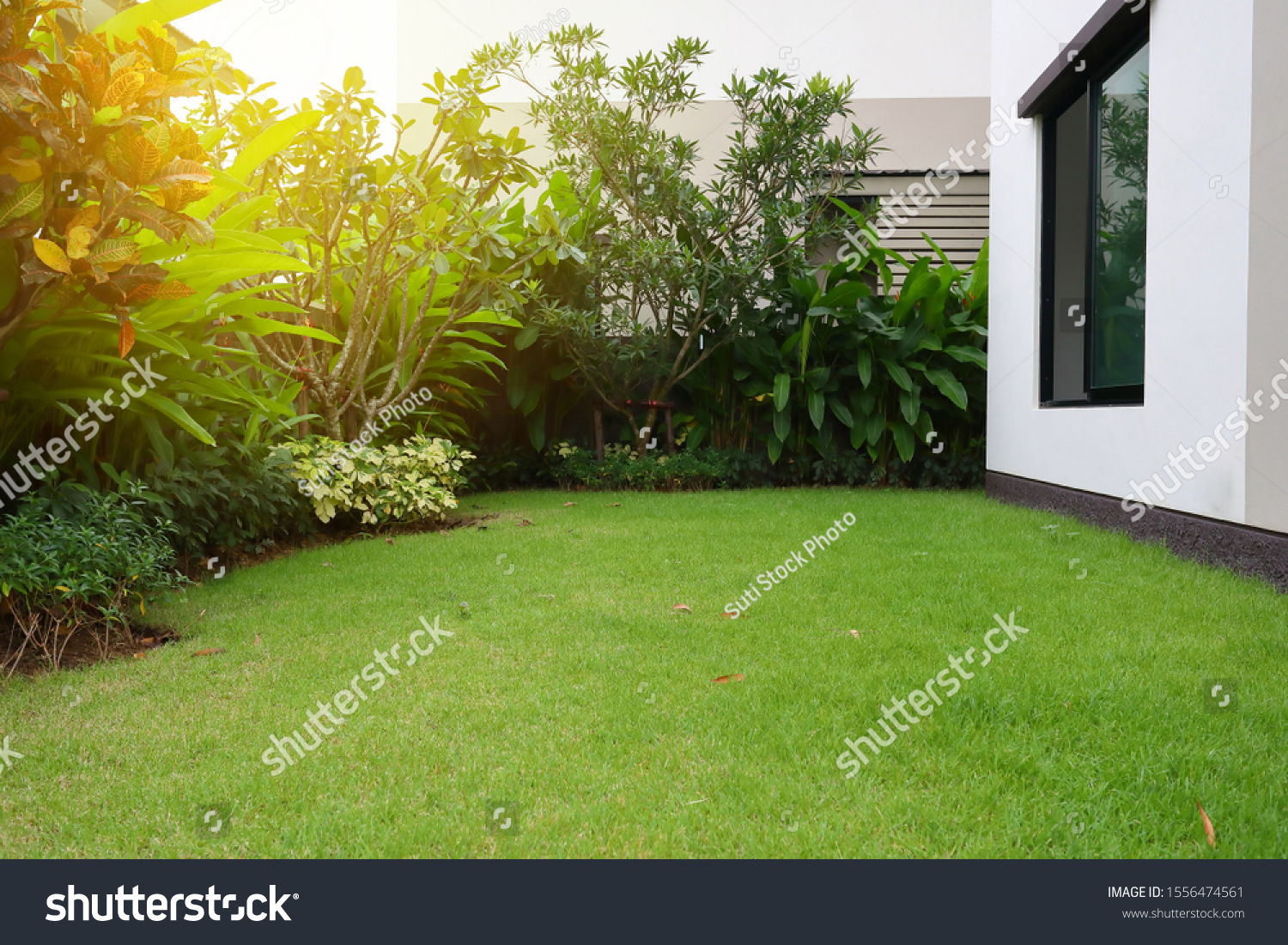 lawn landscaping with green grass turf in garden home #1556474561