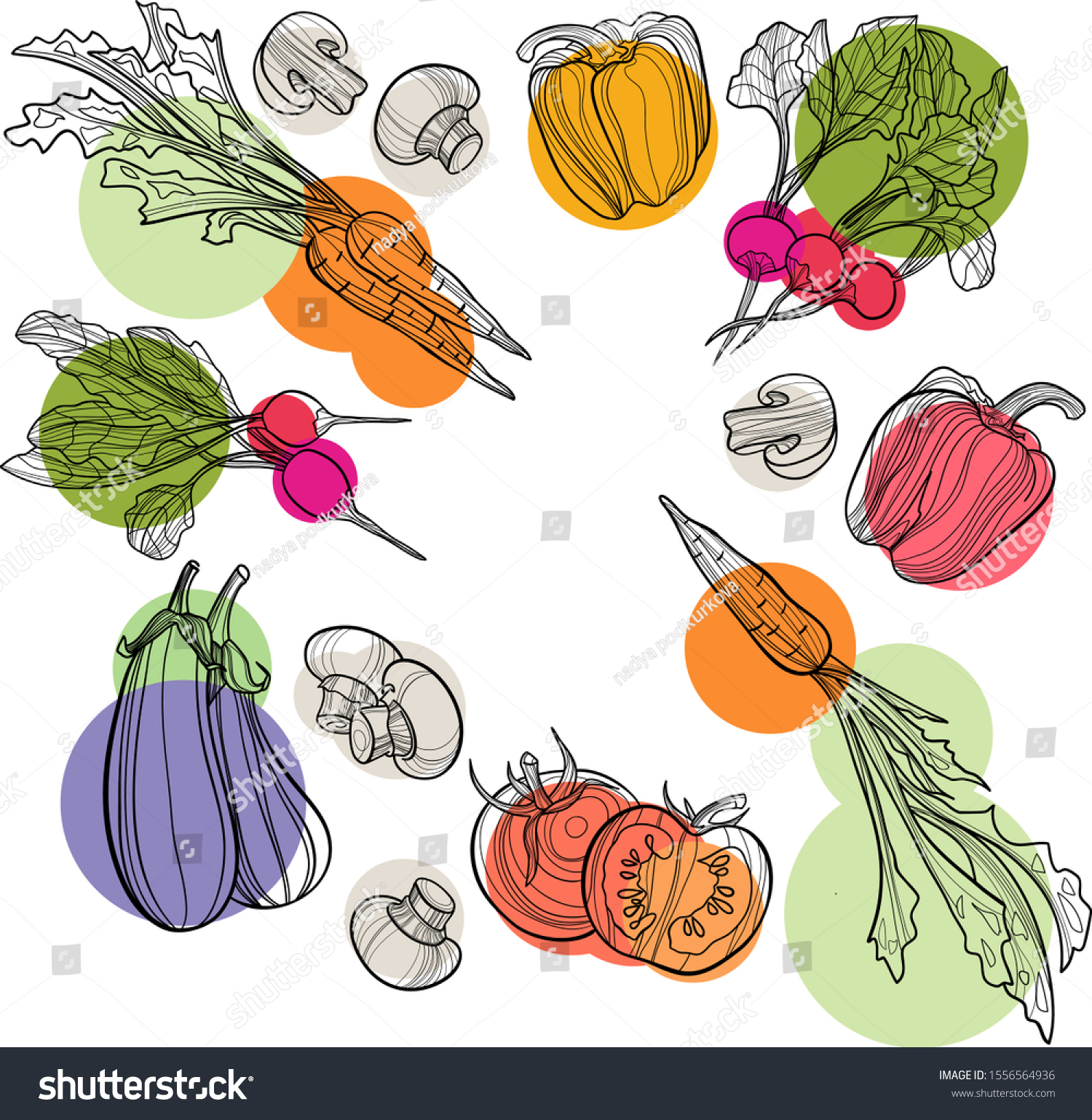Vegetable set in vector. Harvest and Thanksgiving fruit of nature, food collection for restaurants, menus, posters and grocery bags: bell pepper, eggplant, radish, mushroom, carrot. Graphics and color #1556564936
