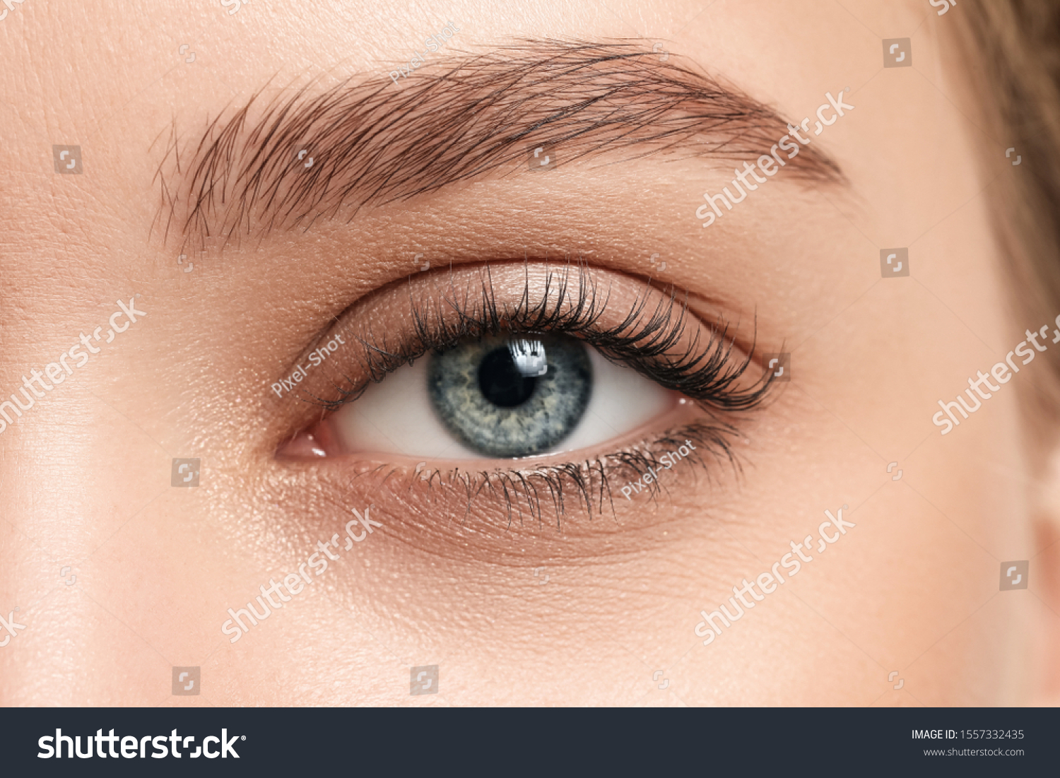 Young woman with beautiful eyebrows, closeup #1557332435