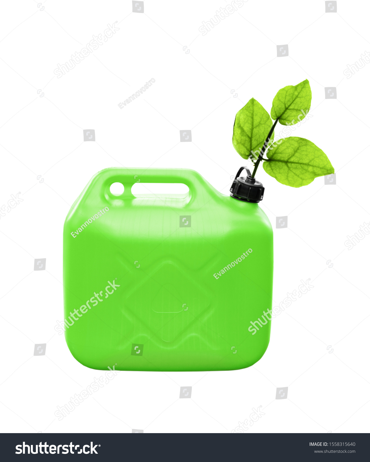 Concept of an ecological fuel. Fresh plant leaves growing from a green plastic jerrycan isolated on white background #1558315640