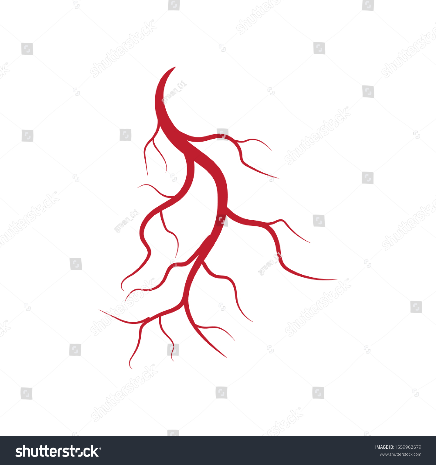 Human veins and arteries illustration design - Royalty Free Stock ...