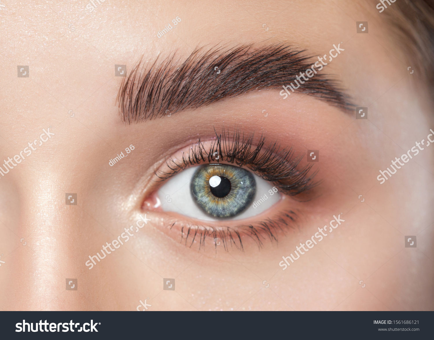 Beautiful woman with long eyelashes, beautiful make-up and thick eyebrows. Beautiful blue eyes close up. Looking at the camera. Makeup and Cosmetology concept. #1561686121