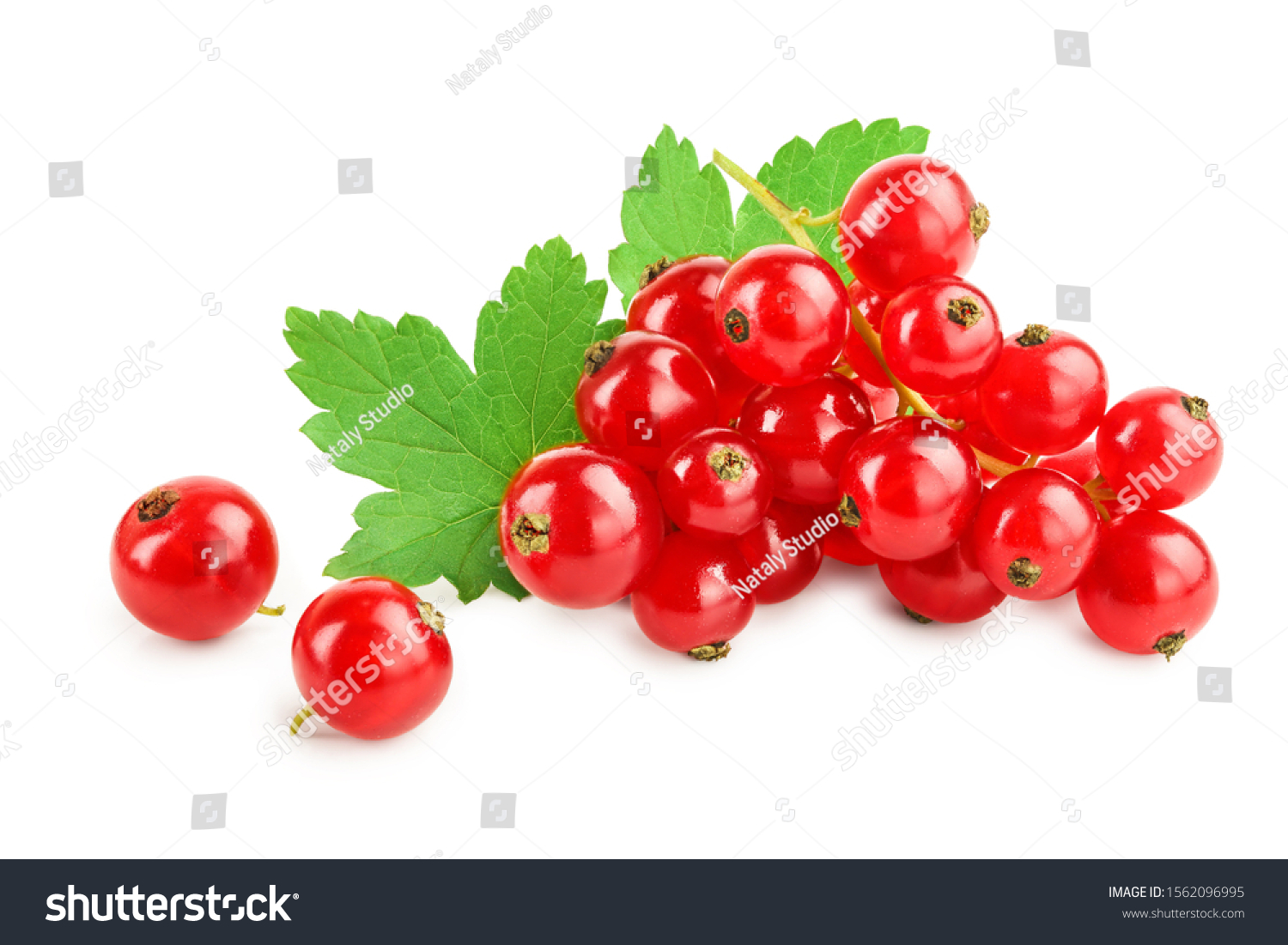 Red currant berries with leaf isolated on white background #1562096995