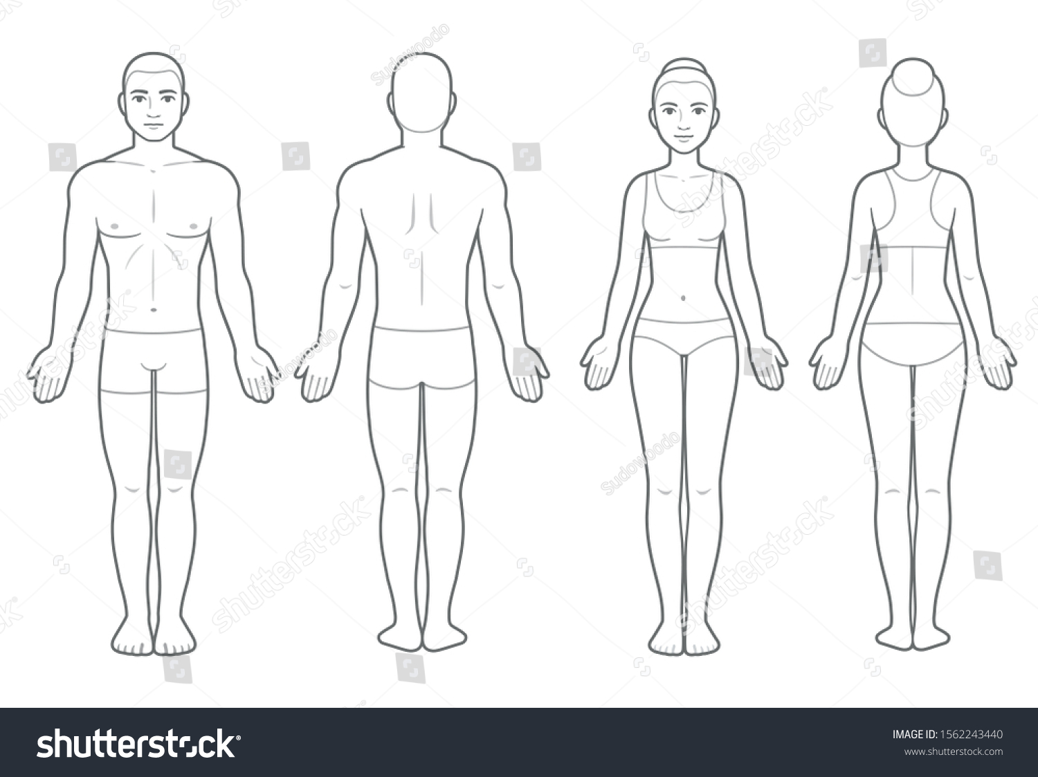 Male and female body chart, front and back view. - Royalty Free Stock ...