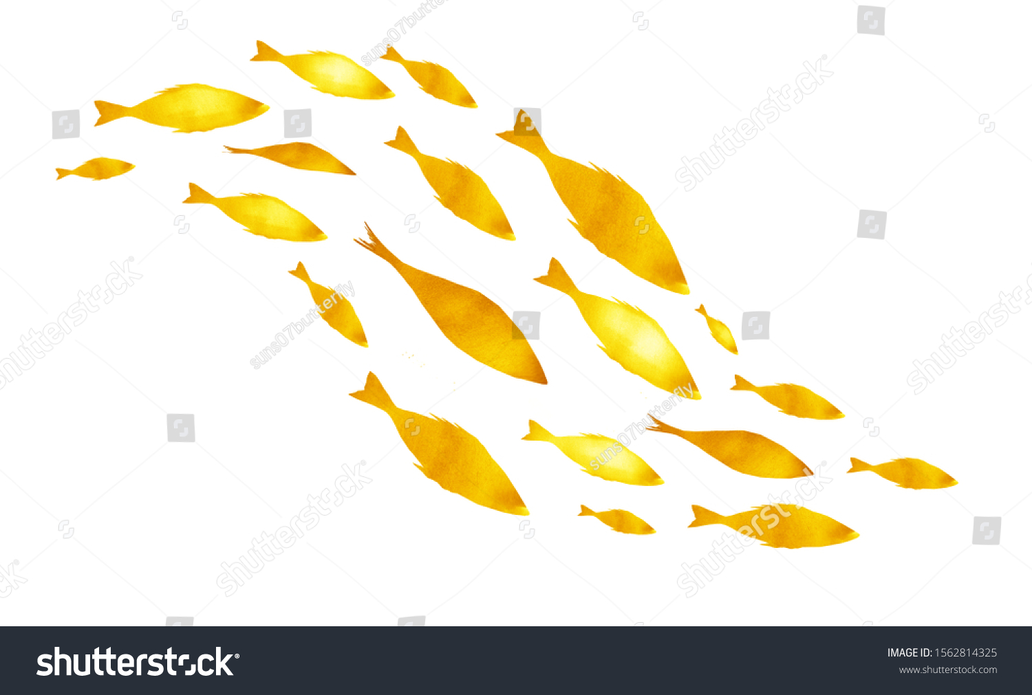 Silhouettes of groups of  fishes on white. Watercolor #1562814325